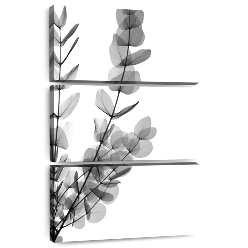 Harnek noir feuilles d'eucalyptus, H 45 po x l 28 po