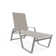 Holna Outdoor Rust-Resistant Metal Chaise Lounge
