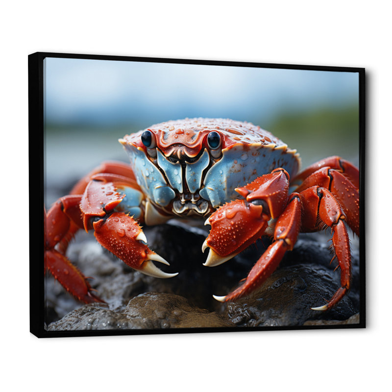 Crab Coastal Guardian sur toile, H 30 po x l 40 po, Cadre flottant noir