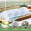 Planter Box-134588427