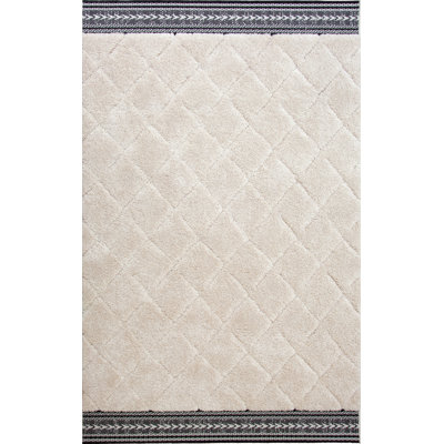 Indoor Rug