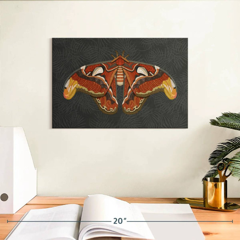 Brampt Atlas Moth Dark, 8" H x 12" W