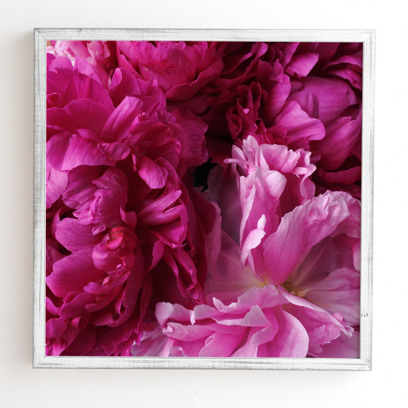 « glamour rose pivoines », reproduction de photo, H 30 po x l 30 po x P 1 po, Cadre satiné