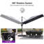 182cm X 304cm Rectangular Cantilever Parasol-250121272