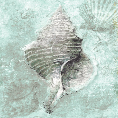 Mint Shell 2 - Wrapped Canvas Print