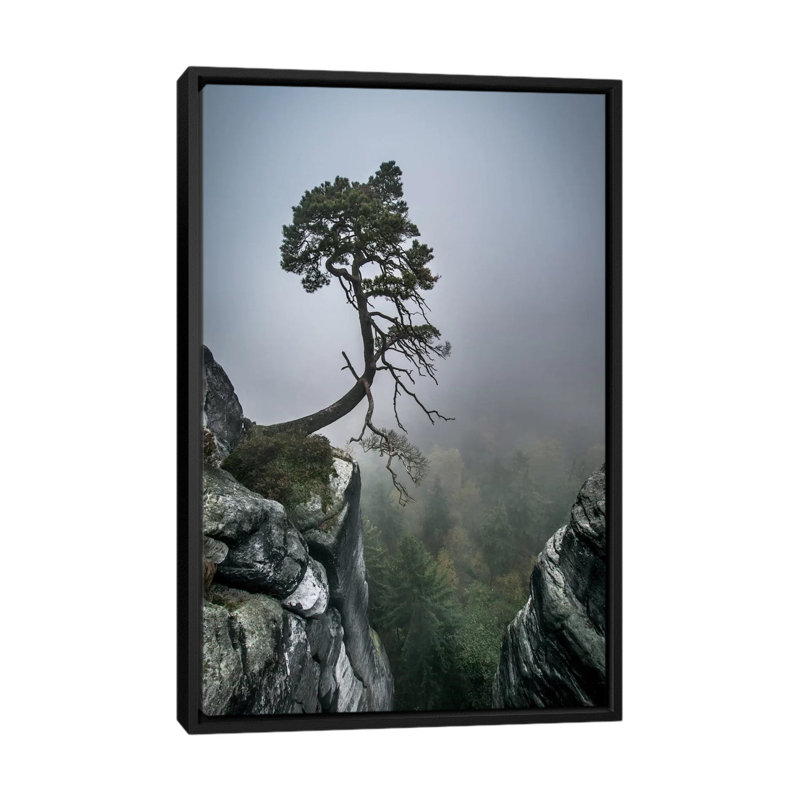 «Against the Odds» par Andreas Wonisch, reproduction sur toile tendue sur châssis, H 26 po x l 18 po x P 1,5 po, Pas de tapis