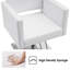 Spring Street 63.5cm W Faux Leather Hydraulic Barber Salon Chair with Metal Frame-1025283801