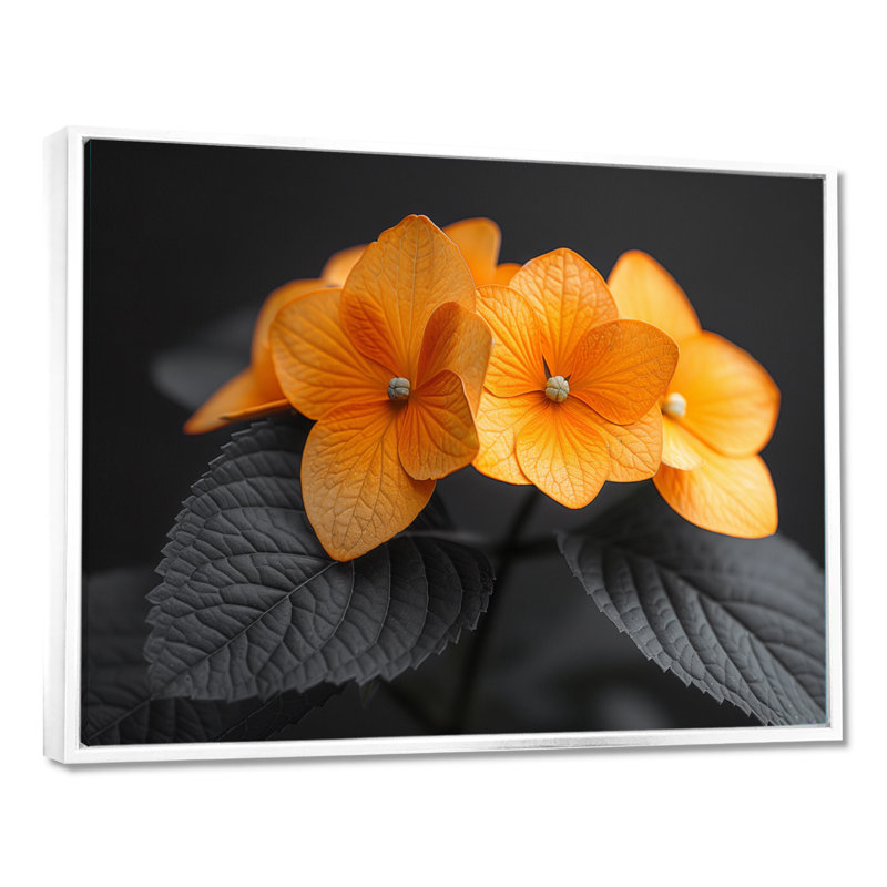 Orange orange, parfum d'hydrangées et d'hortensias muraux, H 12 po x l 20 po, Cadre flottant blanc