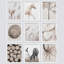 Ensemble de fleurs neutres, cheval et cerf, art moderne, 9 pièces-92574109-92574111