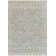 Shaniya Southwestern Indoor Rug