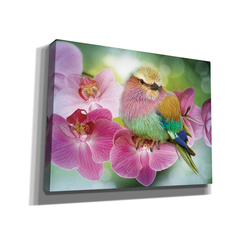 «Pretty Boy» par Steve Hunziker, art mural sur toile, H 12 po x l 16 po x P 0,75 po