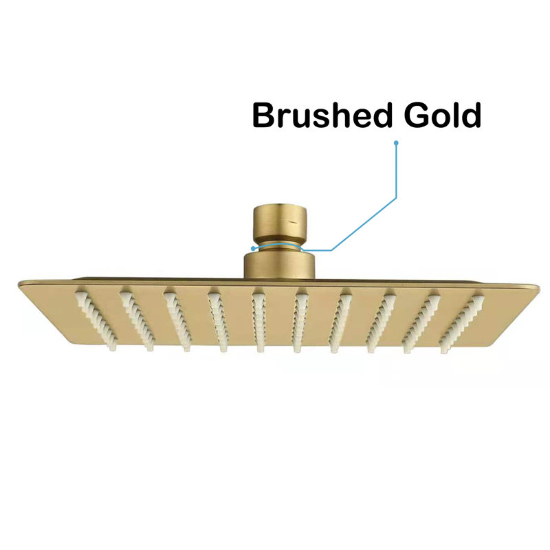 Rain Adjustable Shower Head 2.0 GPM GPM, Brushed Gold