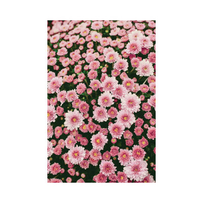 Bloom Abundantly 1 Piece Wrapped Canvas Wall Art