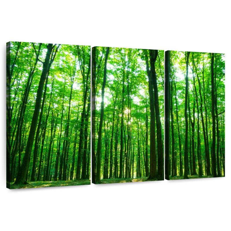 Alvord ensoleillé vert forêt, H 20 po x l 33 po