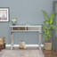Silver Mirrored  Console Table