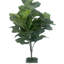 3.5' Faux Fiddle Tree in Fiberstone Planter
