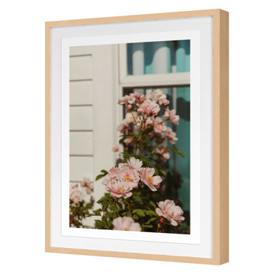 Plants & Flowers Print by Bock, Alicia