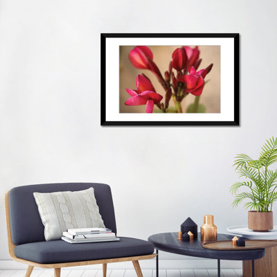 « guadalupe fernandez plumeria, fleur multicolore from yucatan », reproduction de photo sur toile