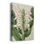 «Orchid Blooms IV», impression sur toile tendue-1969611892