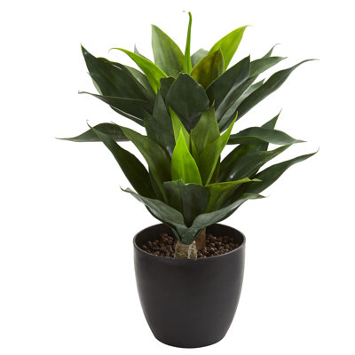 Plante agave artificielle en pot