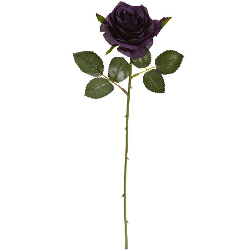 Tige roses, Mauve élégant