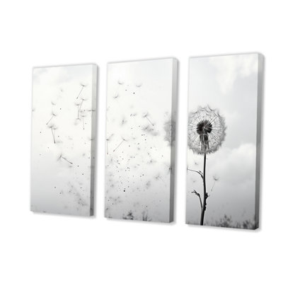 Minimalims Dandelion Natures Fragilité I 3 pièces