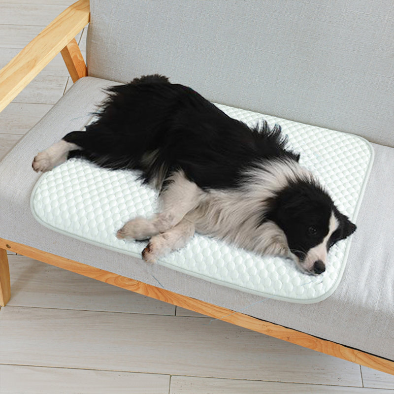 Tapis de refroidissement pour chien Summer Cool, H 23,6 po x l 31,5 po x P 0,93 po, Vert