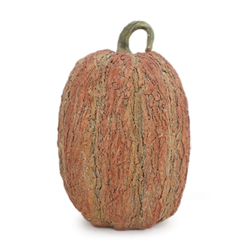 Ensemble de 2 citrouilles texturées