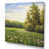 Toile tendue