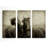 " Horses Don't Whisper " 3 - Pieces-966078241
