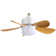 16" Screw-In Ceiling Fan With LED Light – E26 Socket Mount, Remote Controlled