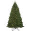 Teton Outdoor Fir Ariticial Christmas Tree with Warm White Wide Angle LED Lights with Stand-520927787