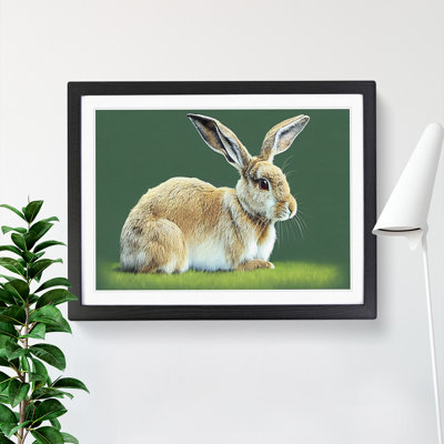 A Cute Rabbit - Framed Print