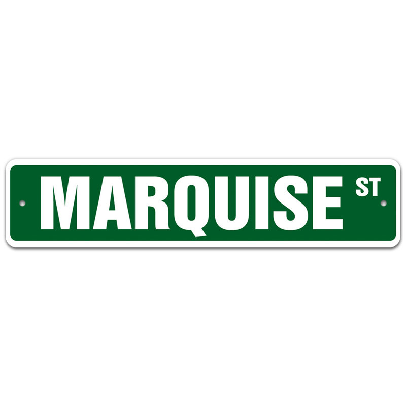 Plaque de rue Alonzo, H 7 po x l 30 po x P 0,1 po