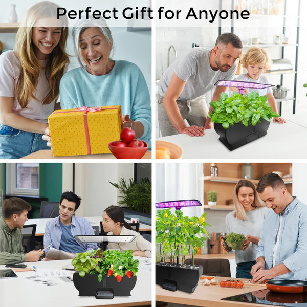 Eco4life Growing Kit