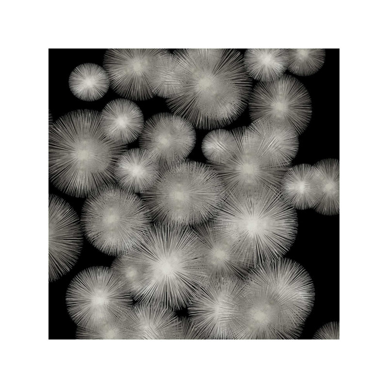 Silver Sunbursts by Abby Young - Wrapped Canvas Print, 45.72 cm H x 45.72 cm W x 1.91 cm D