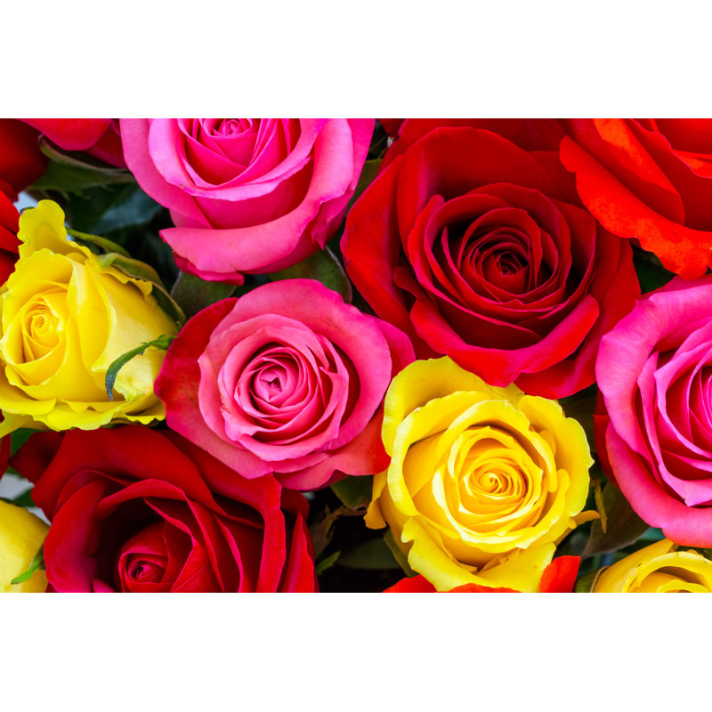 Roses Background by MariuszBlach - Wrapped Canvas Print, 30cm H x 46cm W x 3.8cm D