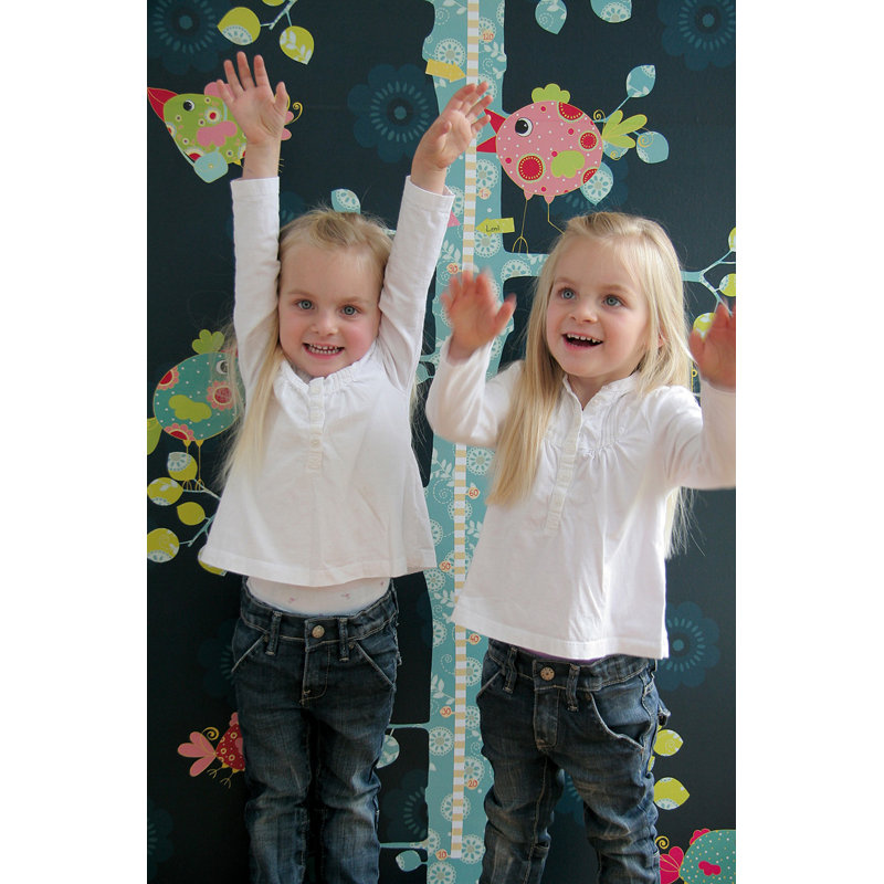 Celestyn Border