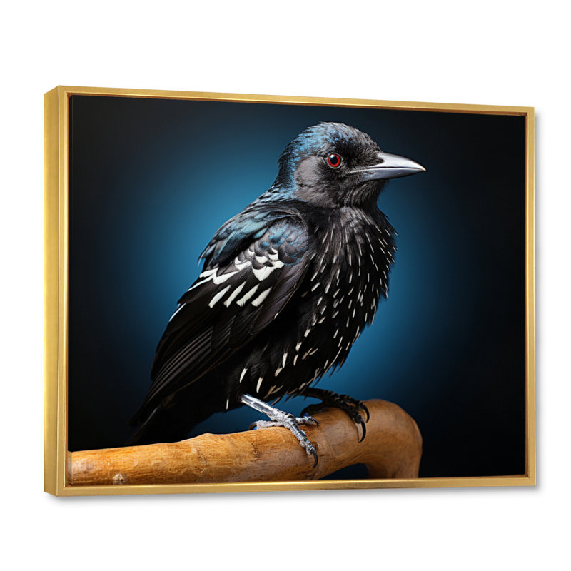 Portrait d'oiseau I - animaux, reproductions d'art mural, H 12 po x l 20 po x P 1 po, Cadre flottant doré