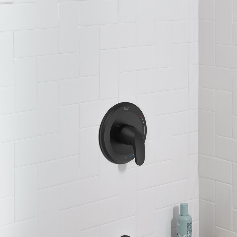 Garniture de douche l 6 po x H 6 po