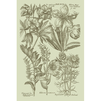Garden Of Flora III - Wrapped Canvas Painting