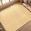 Area Rug in Ginger/Beige-1275212329