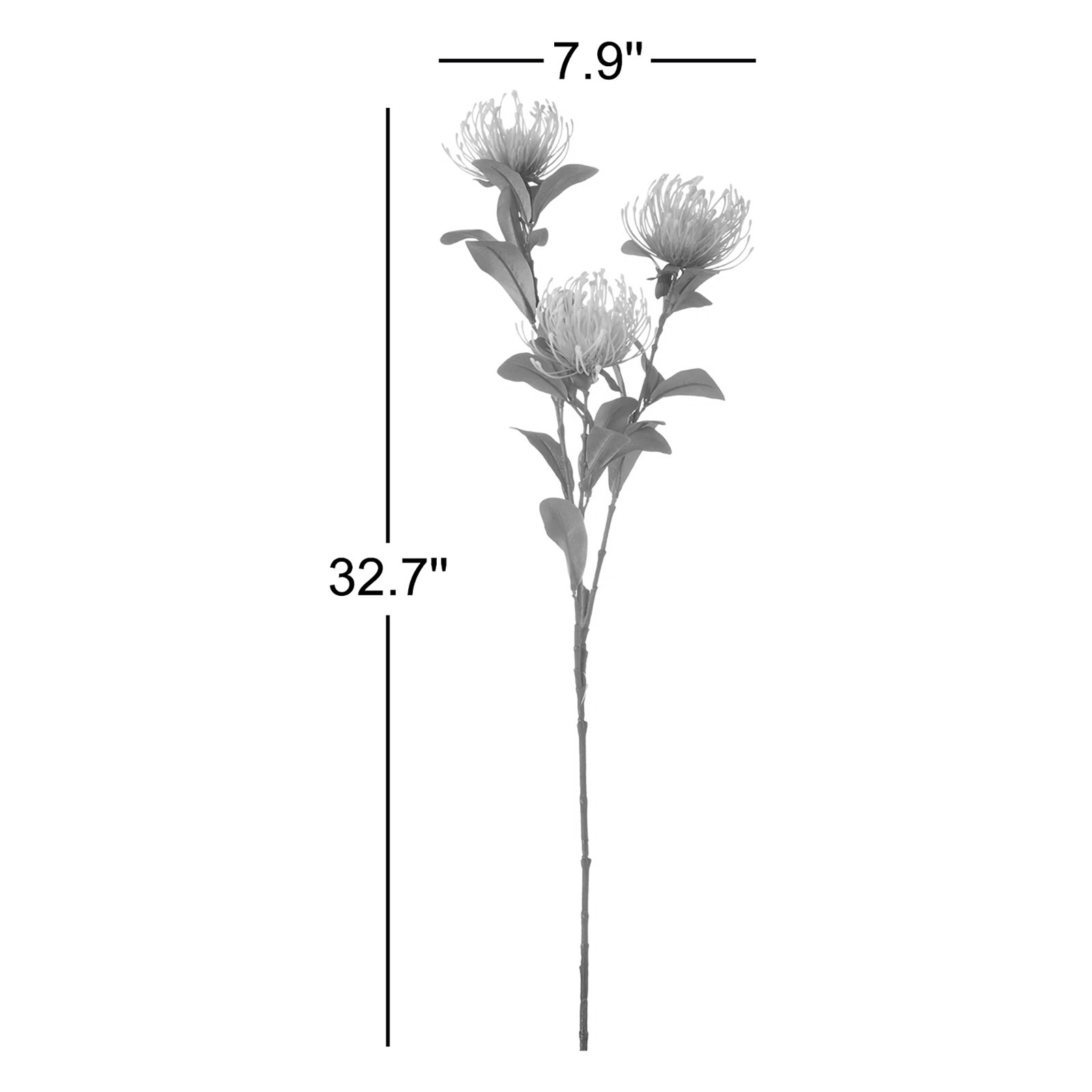 Protea Floral Stems, White