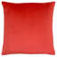 Floral Square Throw Cushion