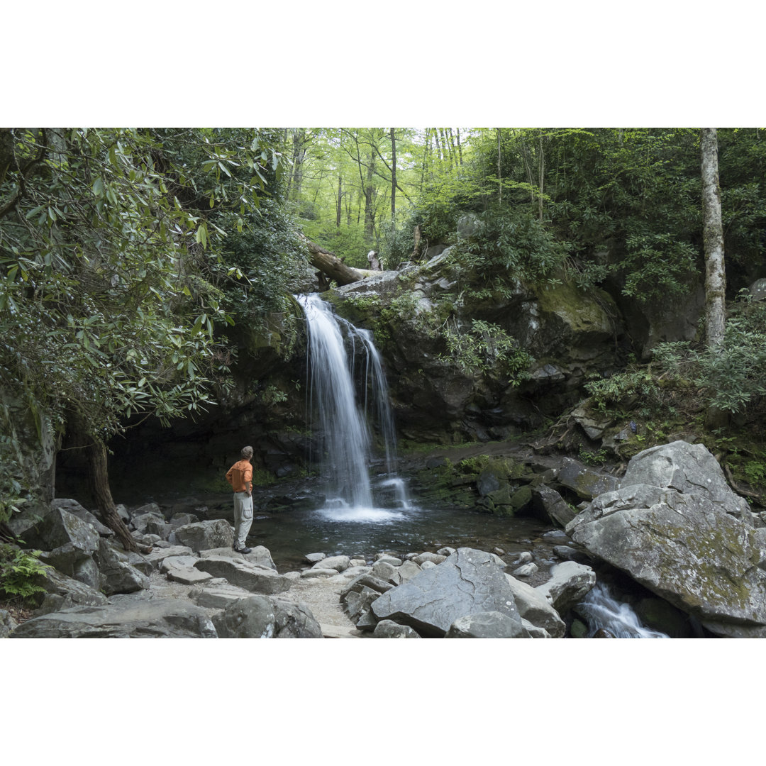 Wanderer erkundet Great Smoky Mountains von Milehightraveler - Druck ohne Rahmen auf Leinwand