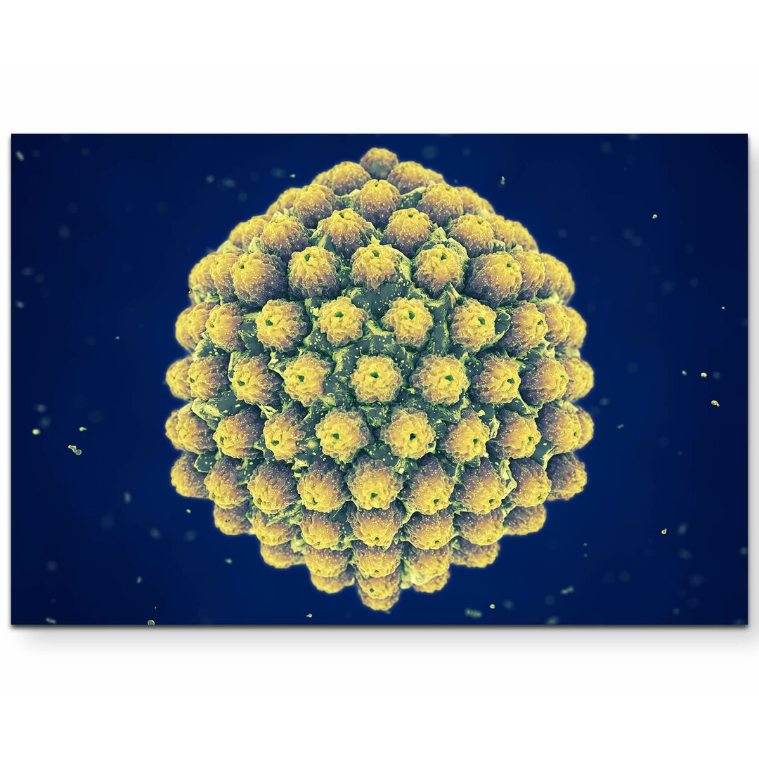 Leinwandbild Herpes Virus – 3D Illustration