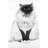 Blue Eyes Fluffy Siamese Cat - Turquoise Canvas Home Decor