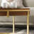 Nupur Single Coffee Table