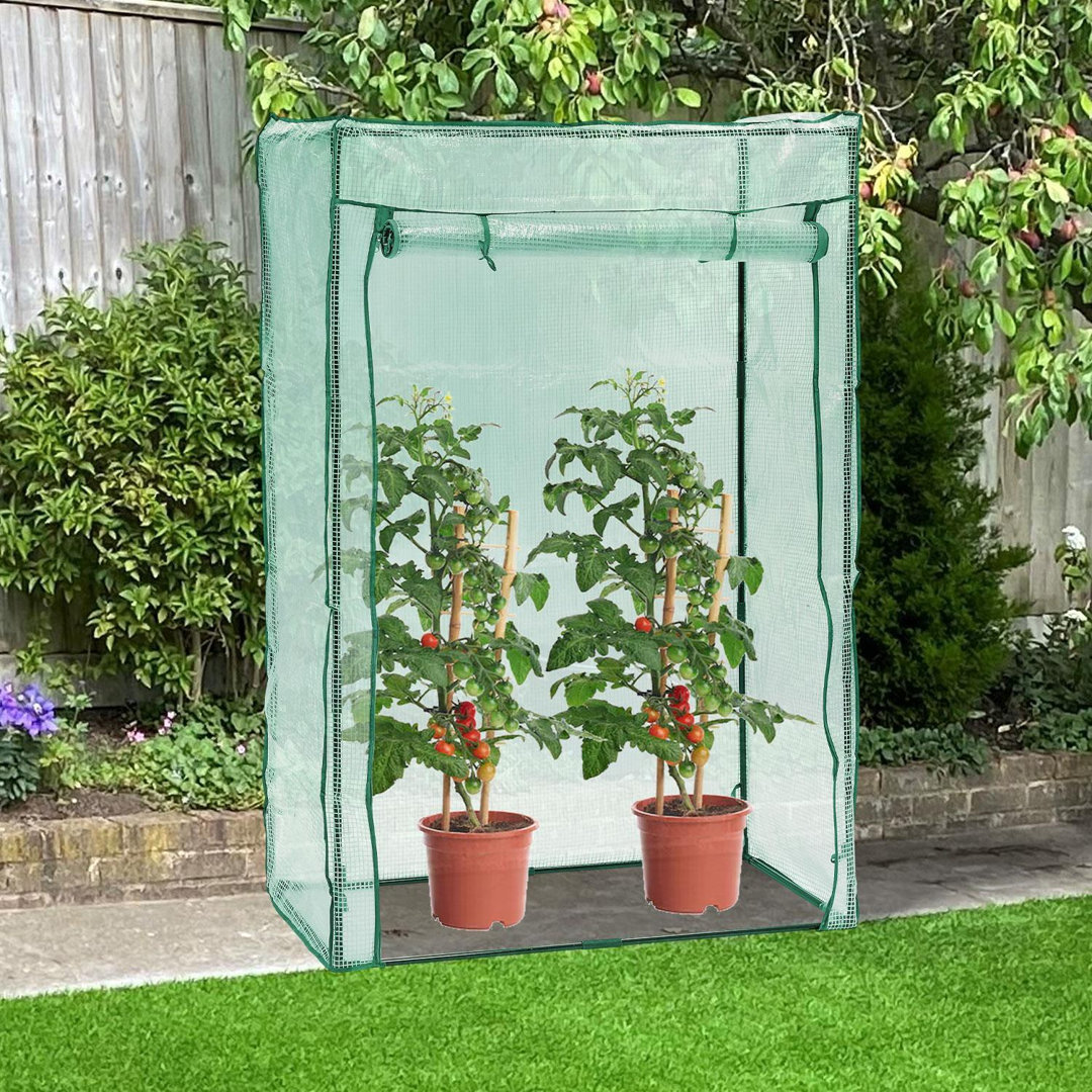 Outdoor Garden Greenhouse Compact Plant Grow Tent Heavy Duty Covered Growhouse For Vegetables Tomatoes Herbs Patio Balcony Use