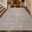 Sultanabad Wool Oriental Area Rug